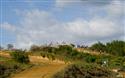 DSC_5795.jpg
