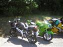 MS Superbike v Brně 2011, atmosféra závodu