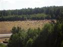DSCN4571.JPG