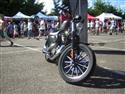DSCN4591.JPG