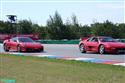 Ferrari F 355 Challenge 07.jpg