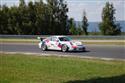 DSC_0271mican.jpg
