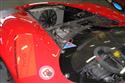 P1010088_resize.JPG