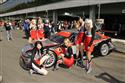 Jarní Brno 2009  objektivem Jiřího Maršíčka