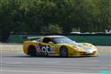 PCMO 2009 a Corvetta týmu Renauer Motorsport objektivem Víti Klígla
