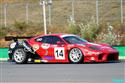 PCMO 2009 - Ferrari týmu Ed Hardy v akci objektivem Vítí Klígla