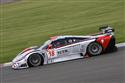 142_SALEEN 18.jpg