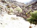 DSC00908.JPG