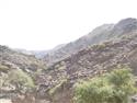 DSC00909.JPG