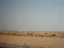 PICT0016.JPG