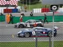 SDC11404.JPG