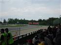 SDC11408.JPG