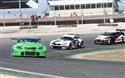 IMG_9195tri.JPG