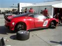 gt (294).jpg