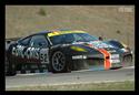 DSC_8829awFerr.jpg
