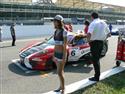 Monza_GT_open08.jpg