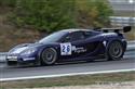 gt17.jpg