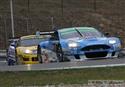 gt39.jpg