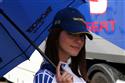 WTCC Brno 2008 a slečny kolem aut objektivem Davida Kárného