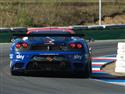 P9130549-1.jpg