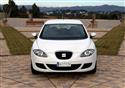 Sportovn vz -  SEAT Leon Ecomotive