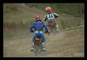 DSC_6382AAss.jpg