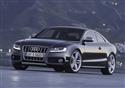 Audi_S5_3.jpg