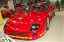 800DSC__054.jpg