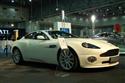 800DSC__162.jpg