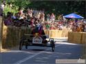 redbull_sedivec-043.jpg