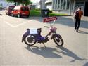 DSCN2667.JPG