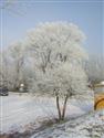 DSCN1690.JPG