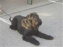 DSCN4209.JPG