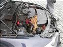 Srnka v motoru BMW