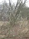 DSCN1780.JPG