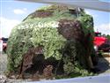 DSCN3226.JPG
