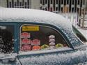 DSCN1445.JPG