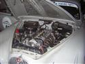 DSCN1583.JPG