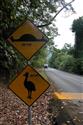 Vzpomínky na Expedici Australie 2005 Tatrou 805, foto účastníků