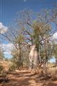Vzpomínky na Expedici Australie 2005 Tatrou 805, foto účastníků