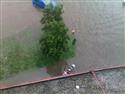 29062009037.jpg