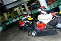 DSC_0634tri.JPG