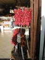 DSCN1179.JPG