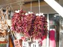 DSCN1180.JPG