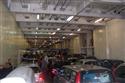 Sardina_078.jpg