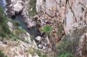 Sardina_227.jpg