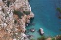 Sardina_244.jpg
