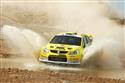 DSC_1367swiftbrod.jpg