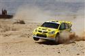 DSC_1653swift.jpg