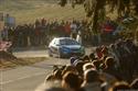 DSC_9789focus_davy.jpg